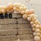Nude Balloons - 12 inch 100pcs Latex - Round Neutral Boho Birthday Balloons with 2 Ribbons, Helium Apricot Balloons